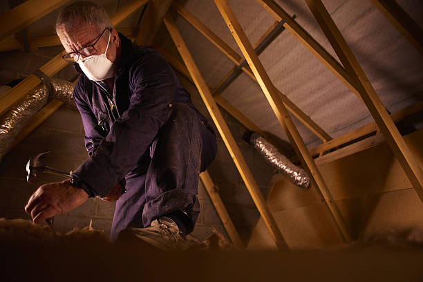 Best Cellulose Insulation in Los Molinos, CA